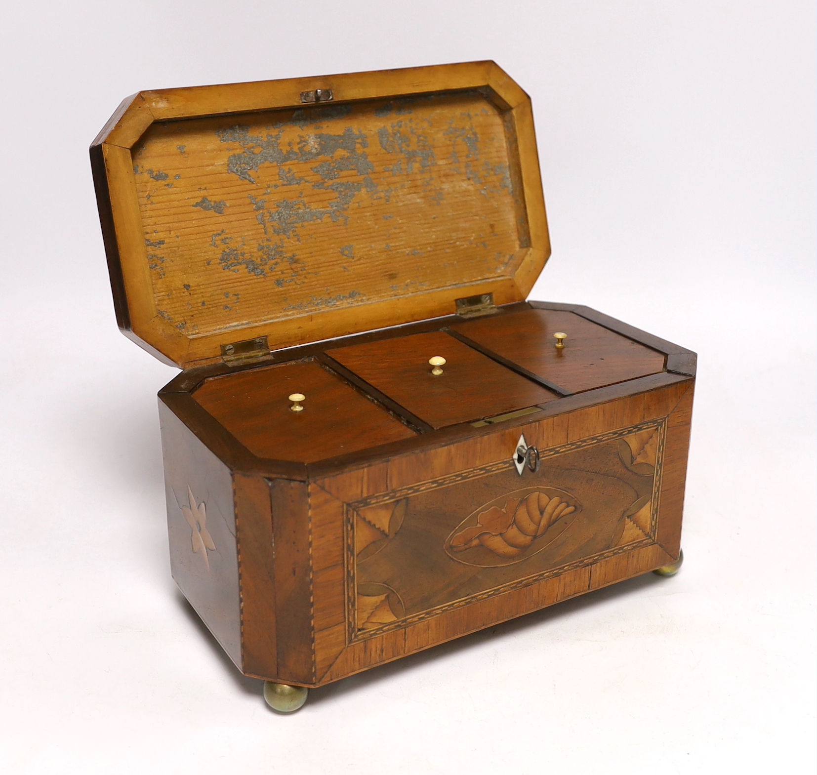 An early 19th century shell inlaid cross banded mahogany tea caddy, 26cm wide